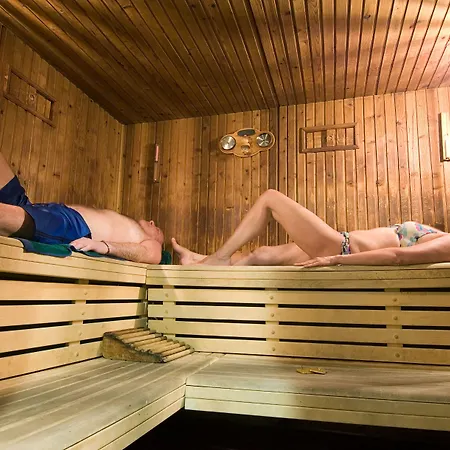 奥拉戈阿塞罗格尔别墅酒店 酒店