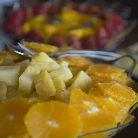 奥拉戈阿塞罗格尔别墅酒店